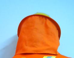 LEGIONARIOS PARA CASCO